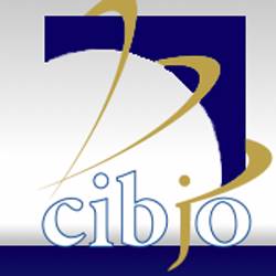 CIBJO will establish a new task force