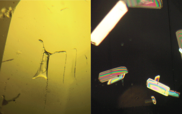 Figure 1. (left) Inclusion consisting of a liquid phase with a vapour bubble. Figure 2. (right) Polariscope-revealed inclusion