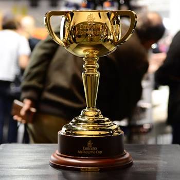 Visitors could view the 2017 Emirates Melbourne Cup