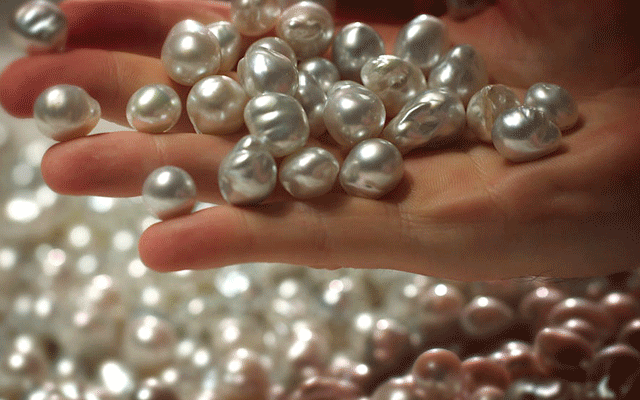 Australian South Sea pearls have recently been certified sustainable. Image courtesy: Paspaley