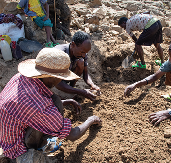 Most of the sapphires were recovered from gravels by dry hand picking. Image courtesy Andrew Lucas/ GIA