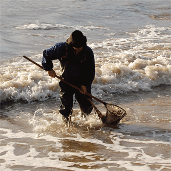 Fishing for amber in the Baltic sea