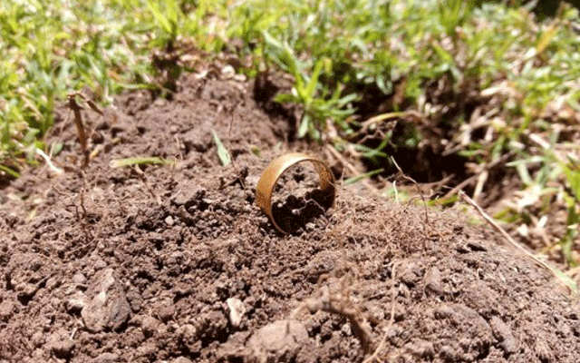 An amateur metal detectorist found the missing ring after 11 hours of searching. Image Credit: Michael & Kaye Hill, Jual Butler/Daily Mail