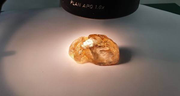 The 236-carat rough features a brownish yellow tone, similar to amber, and is currently being evaluated by Alrosa for cutting and polishing potential. 