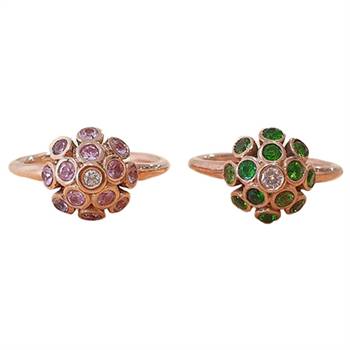 'Spring Colours' rings by Rob Wright.