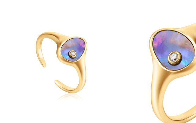 The Gold Tidal Abalone signet ring by Ania Haie