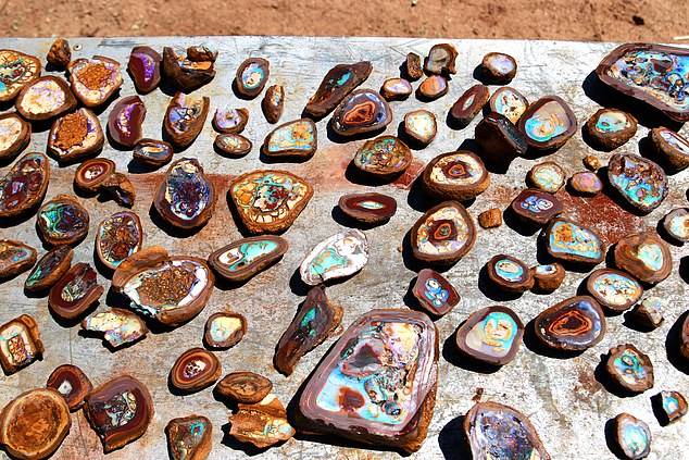 Part of the Andreous' opal find, including rare Yowah nuts and Koroit matrix opal. Image credit: Daily Mail