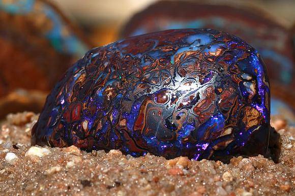 A rare Koroit matrix opal, found by the Andreous