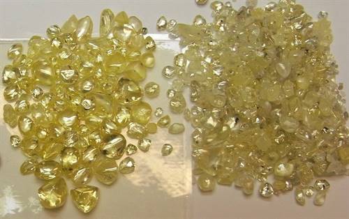 A selection of fancy yellow diamonds from the Ellendale-Blina site in Western Australia. Image: Gibb River Diamonds