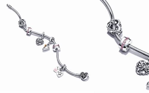 The Moments charm bracelet from Pandora.