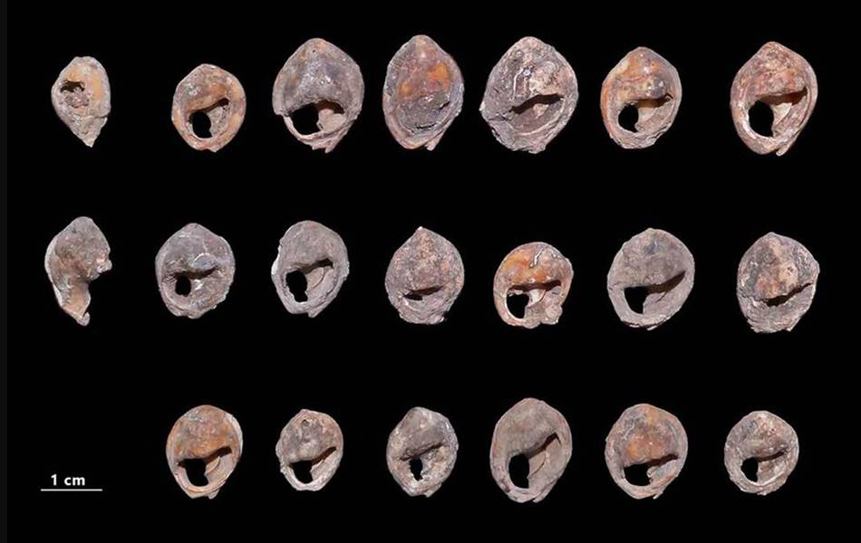 33 shell beads that were found in Morocco have been discovered to date back almost 150,000 years. The holes drilled through each piece were rounded at the edges, indicating that the beads were used for traditional necklaces and earrings. <b>Image:</b> A. Bouzouggar, Insap, Morocco