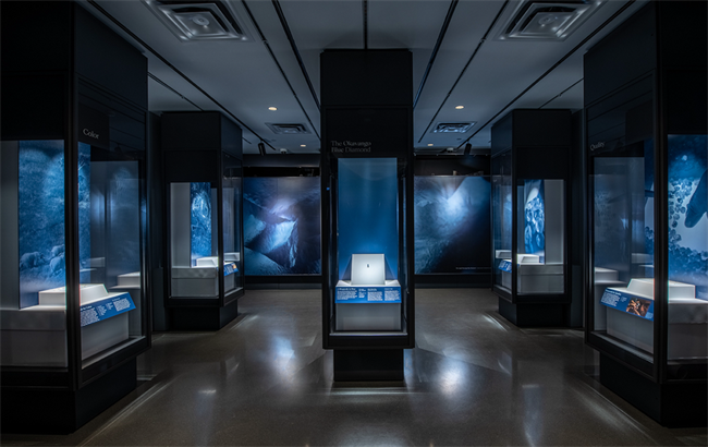 The Okavango Blue Diamond is the centrepiece of a larger presentation about the variety of natural diamonds found in Botswana. <b>Image: </b> D. Finnin – American Museum of Natural History