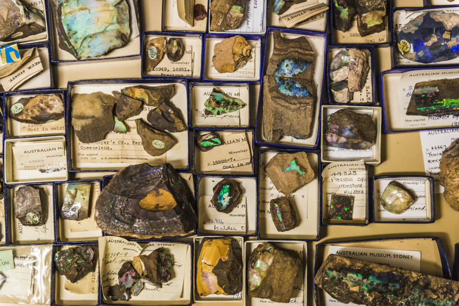 Above: The AMRI Mineralogy & Petrology Collection. The Minerals Gallery opens free to the public on 10 December.