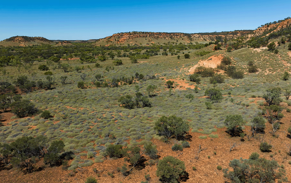 The 352,000-ha Vergemont property has been for sale since 2016. Two neighbouring stations - Tonkoro (138,200ha) and Melrose (73,048ha) - were recently purchased by the state government and added to existing national parks. | Source: Ian Wilkinson/Queensland government