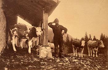 Jurassian Dairy Farmer, early 20th century.