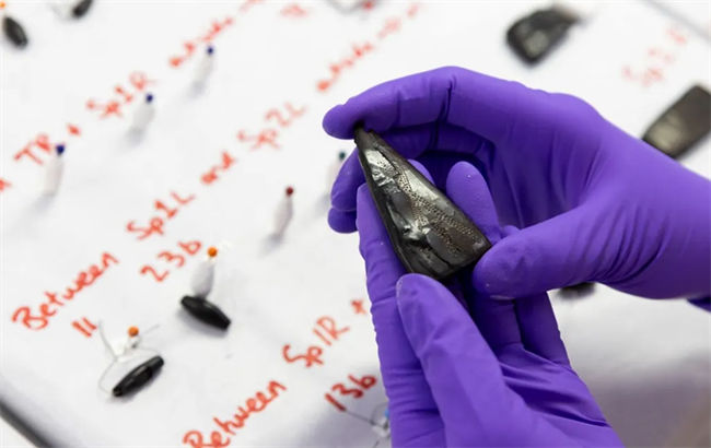 Bethan Bryan spent about 50 hours restoring the jewellery. The original pieces of the necklace feature intricate designs. | Source: BBC/Duncan McGlynn