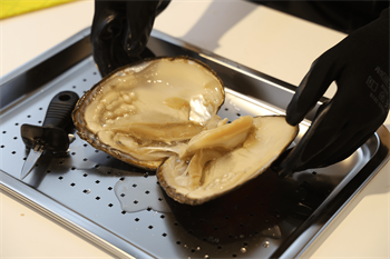 Live demonstrations of pearls extracted from oysters.