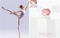 Rio Tinto’s Argyle Pink Diamonds brand has partnered with the West Australian Ballet to grant scholarships to emerging dancers. | Source: The Australian Ballet School/Argyle Pink Diamonds