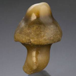 The "mushroom pearl" was submitted to the GIA.