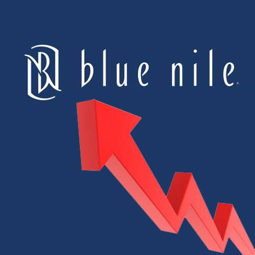 Blue Nile achieved double-digit revenue growth in Q2 across all major business categories