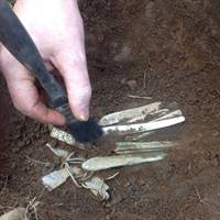 The silver cross and arm bands were found in the initial hoard