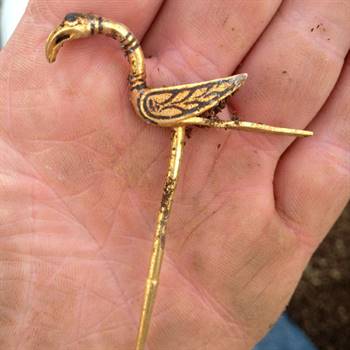 A gold bird pin