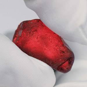 The 40-carat Rhino Ruby sold for an undisclosed amount