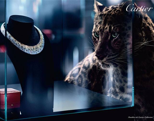 #CollectionPanthere Image courtesy: Cartier