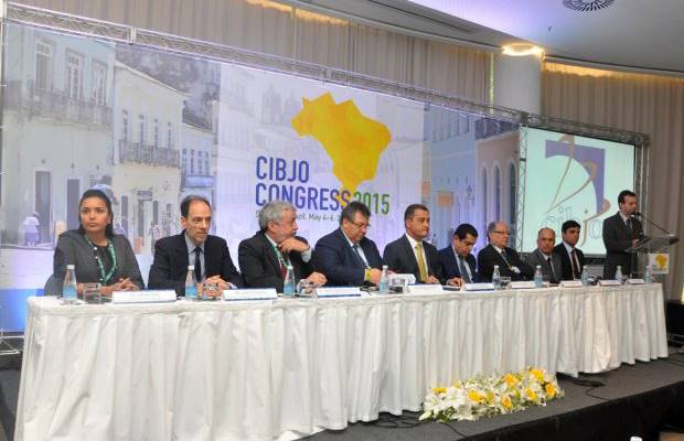 A number of topical jewellery industry issues were raised at the 2015 CIBJO Congress