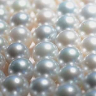 Cygnet Bay Pearls