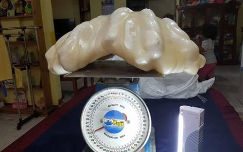 The pearl reportedly weighs 34 kg and measures roughly 61 cm by 30 cm. Image courtesy: <a href="http://bit.ly/2blLPkD" target="_blank">Facebook/City Government of Puerto Princesa</a>